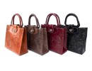 BCA Leather Women's Handbag